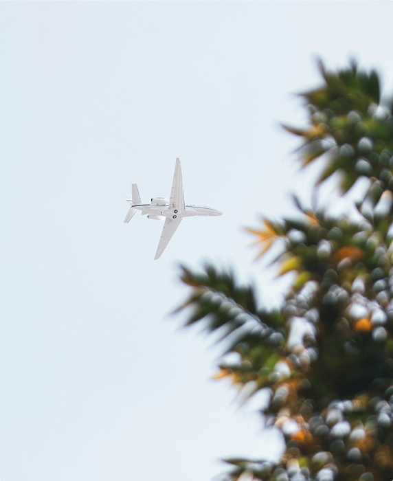 private jet charter flying over the trees